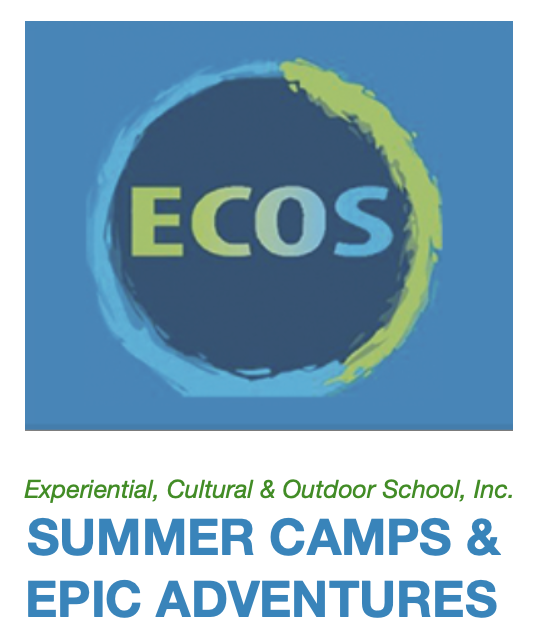 ECOS Groups logo
